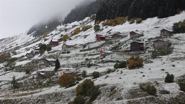 Snowfall warning with 3 from meteoroology